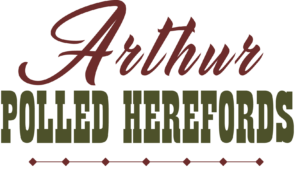 Arthur Polled Herefords